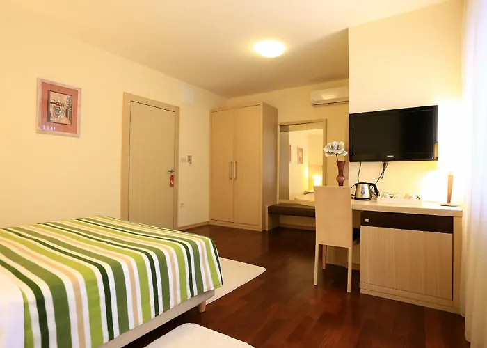 Scallop Self Check-in زادار