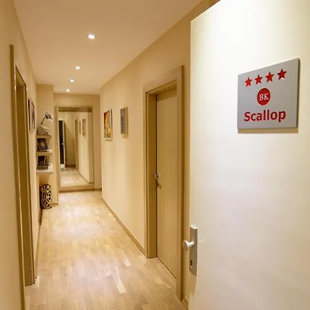 Scallop Self Check-in زادار