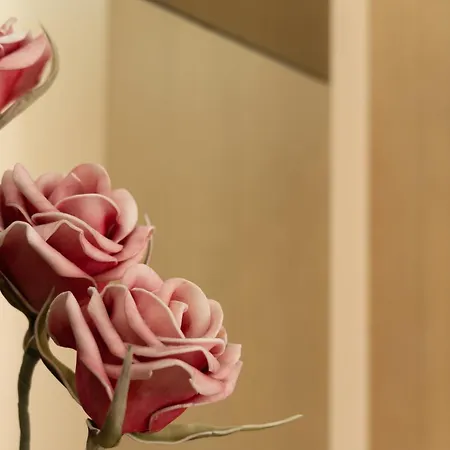 فندق مبيت وإفطار Scallop Self Check-in زادار