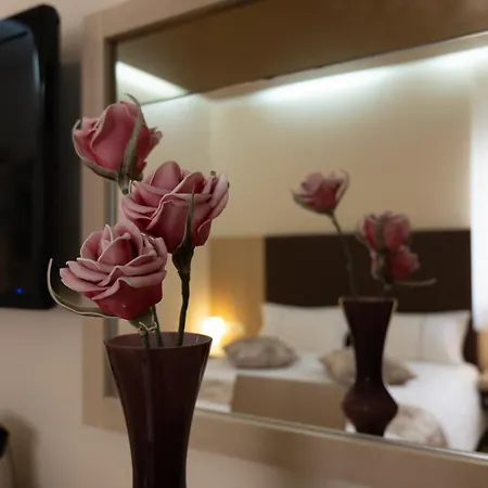 فندق مبيت وإفطار Scallop Self Check-in زادار