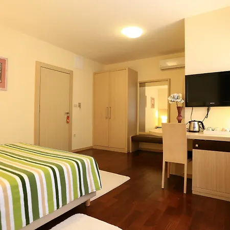 Scallop Self Check-in زادار