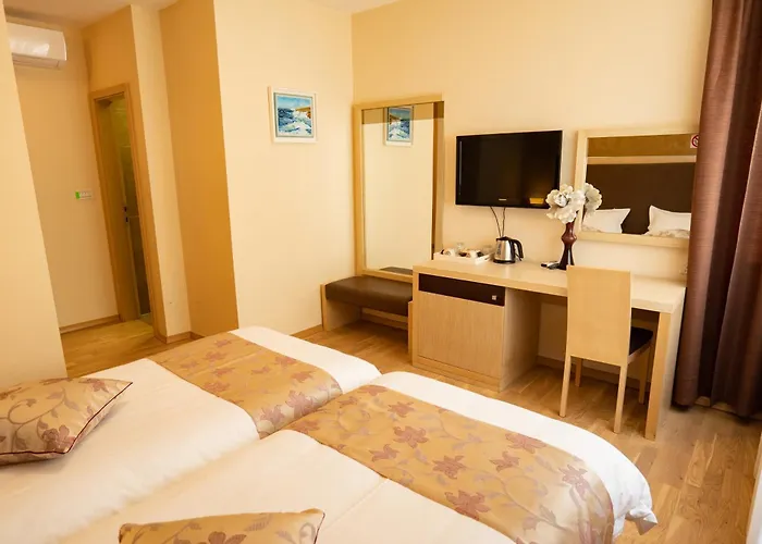 Scallop Self Check-in Zadar